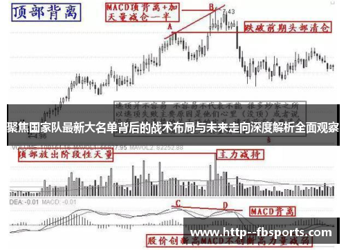 聚焦国家队最新大名单背后的战术布局与未来走向深度解析全面观察