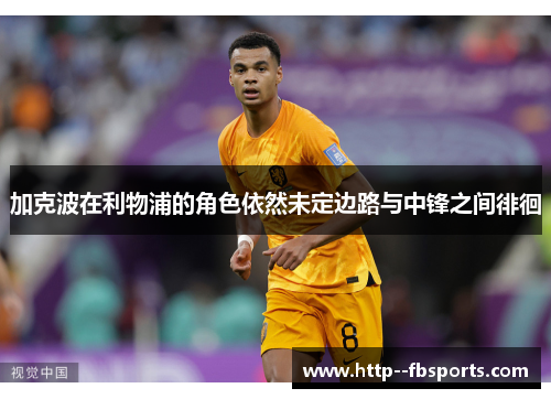 加克波在利物浦的角色依然未定边路与中锋之间徘徊 加克波在利物浦的角色依然未定边路与中锋之间徘徊