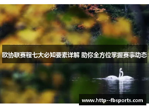 欧协联赛程七大必知要素详解 助你全方位掌握赛事动态