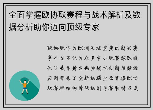 全面掌握欧协联赛程与战术解析及数据分析助你迈向顶级专家